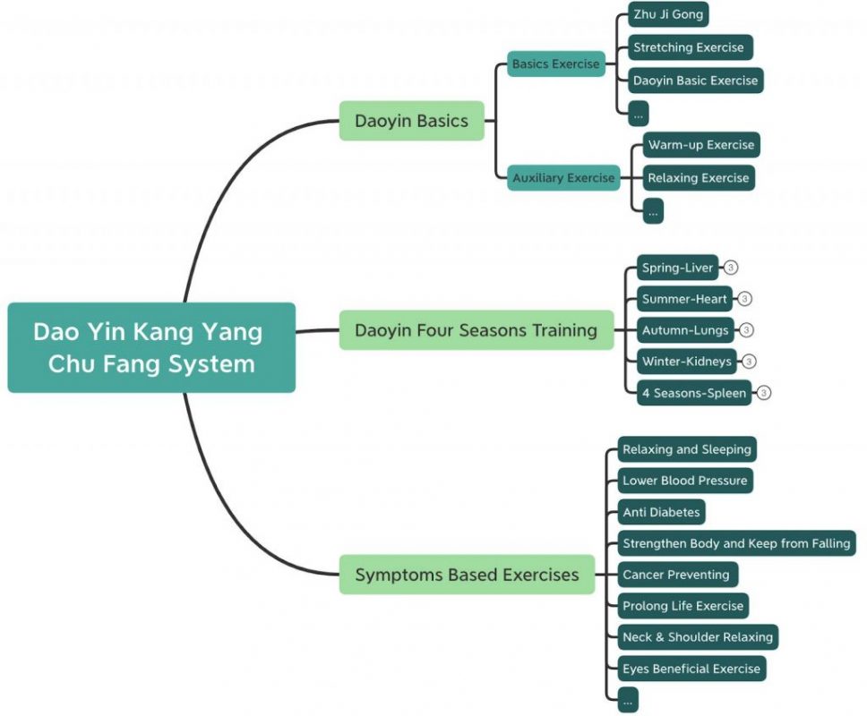 Составляющие системы Даоинь Канъян (胡晓飞导引康养) - Professor Hu Xiaofei´s Daoyin Kangyang - Daoyin Health Preservation-System - HXF Daoyin Kangyang