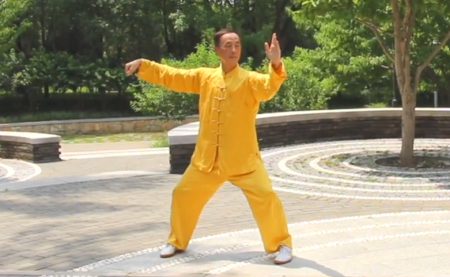 Yang Sheng Tai Ji Palm: Strengthen the body, assist the lungs